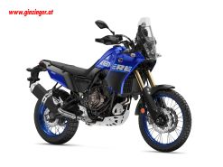 Icon Blue