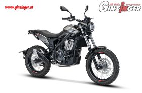 Alp 4.0
