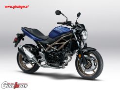 SV650