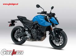 GSX-8S