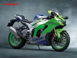 Ninja ZX-10R 40th Anniversary Edition