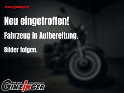 Renegade Freedom 125