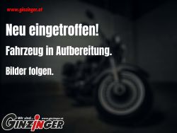 Renegade Freedom 125