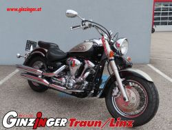 XV 1600 Wild Star