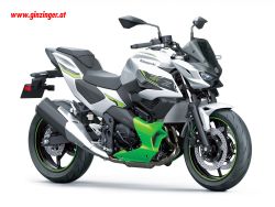 Z7 Hybrid