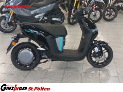 NEOs 50