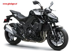 Z1100
