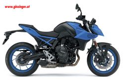 GSX-8S GSX-8S