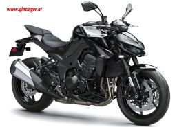 Z1100