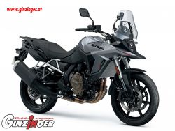 V-Strom 800 V-Strom 800