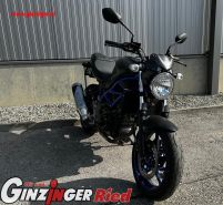 SV650