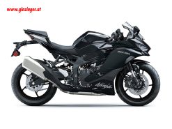 Ninja ZX-4R