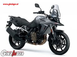 V-Strom 800
