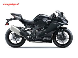 Ninja ZX-4R