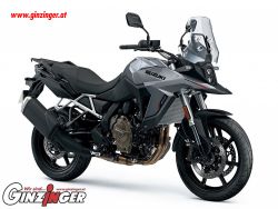 V-Strom 800