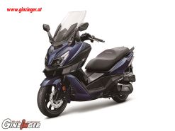 Cruisym 300