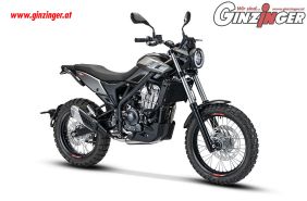 Alp 4.0