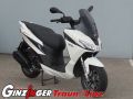 SXR 50