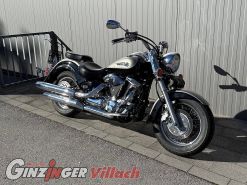 XV 1600 Wild Star