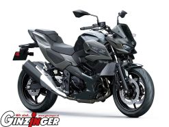 Z7 Hybrid