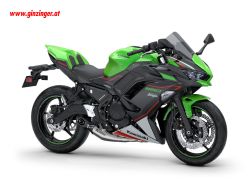 Ninja 650