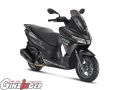 SXR 50