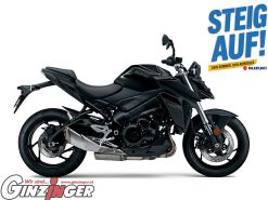 GSX-S950