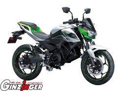 Z e-1