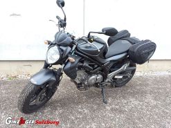 SFV 650 Gladius