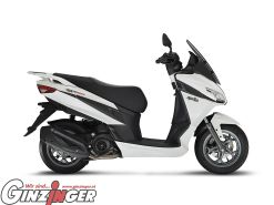 SXR 50