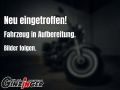 Renegade Classic 125