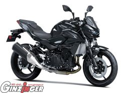 Z 500