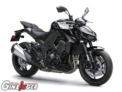 Z1100