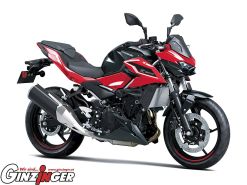 Z 500 SE