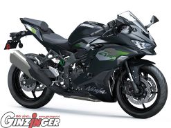 Ninja ZX-4RR