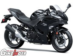 Ninja 500