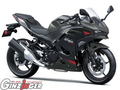 Ninja 500 SE