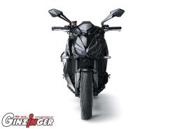 Z1100