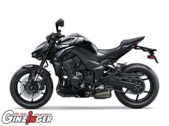 Z1100
