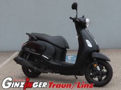 Fiddle 125
