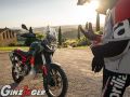 Tuareg 660