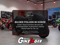 Dyna Super Glide Sport FXDX