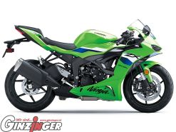 Ninja ZX-6R