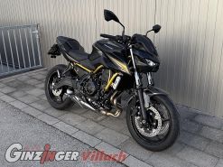 Z650 S
