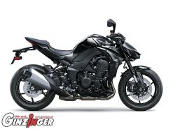 Z1100