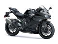 Ninja ZX-4RR
