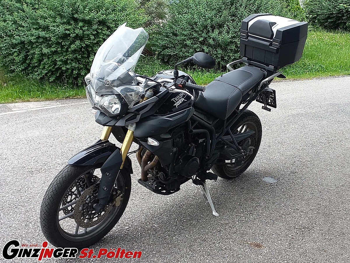 Tiger 800