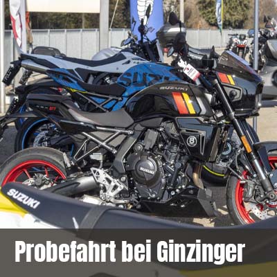 Ginzinger Testcenter
