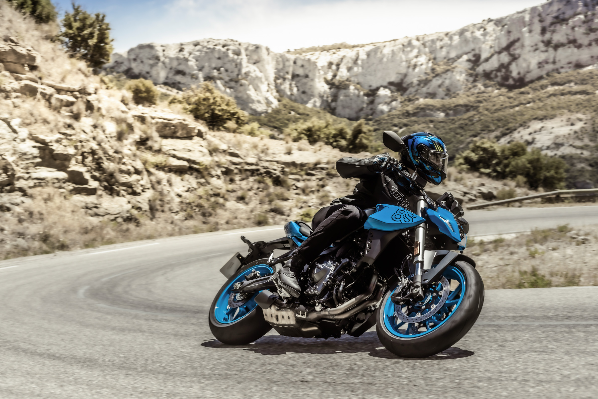 GSX800RQM3_action_51.jpeg
