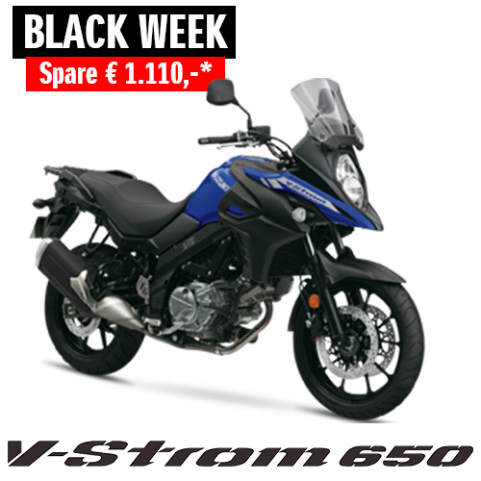 Suzuki V-STROM 650